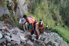 Steppy Trekking