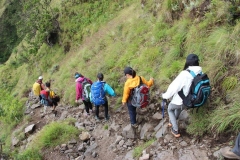 Rinjani Trekking