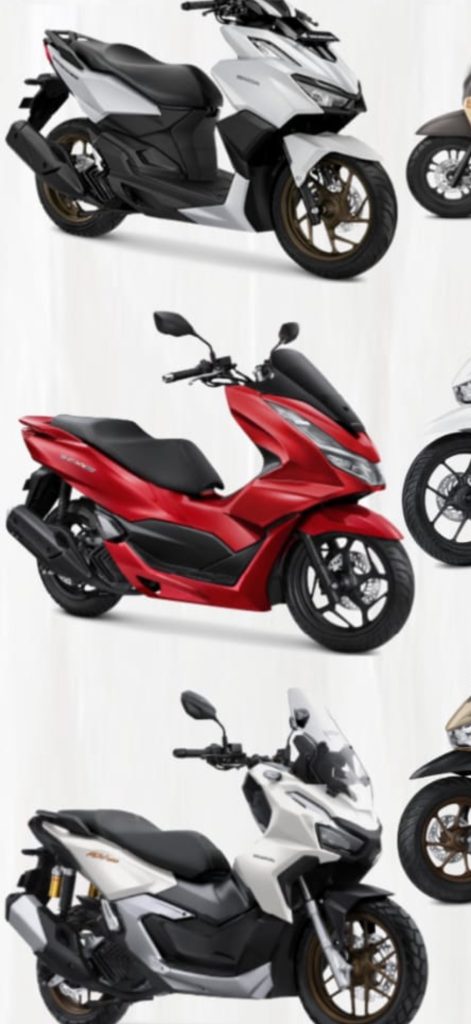 Rent Motorbike In Senaru